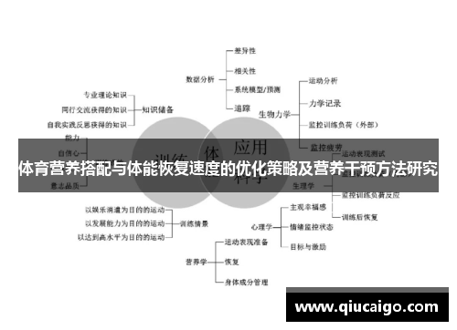 体育营养搭配与体能恢复速度的优化策略及营养干预方法研究
